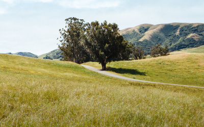 Coming Home: McIsaac Ranch