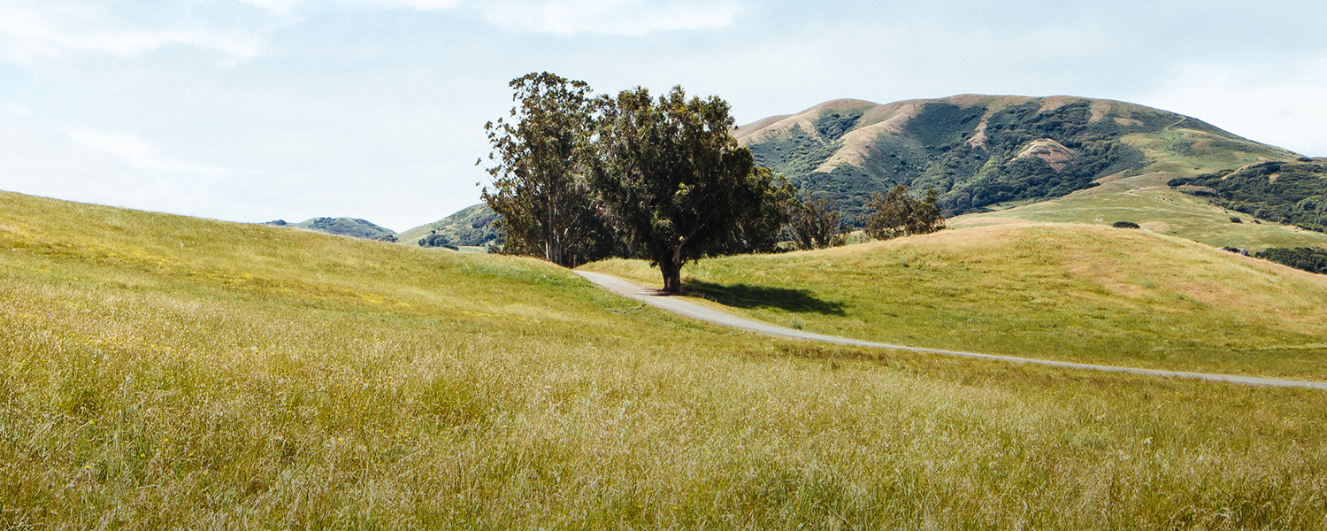 Coming Home: J. McIsaac Ranch