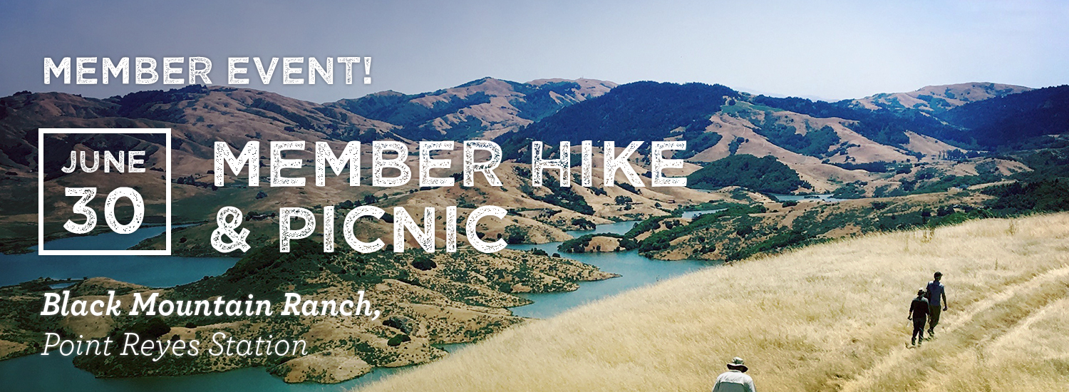 Member Hike & Picnic