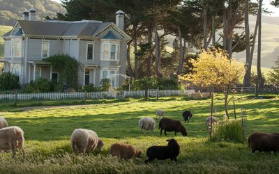 Chileno Valley Ranch, Chileno Valley
