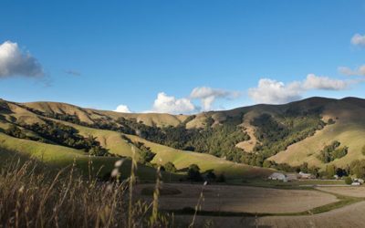 Fred Corda Ranch Novato