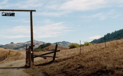 Cow Track Ranch, Nicasio