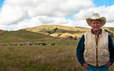 Dolcini Red Hill Ranch, Hicks Valley