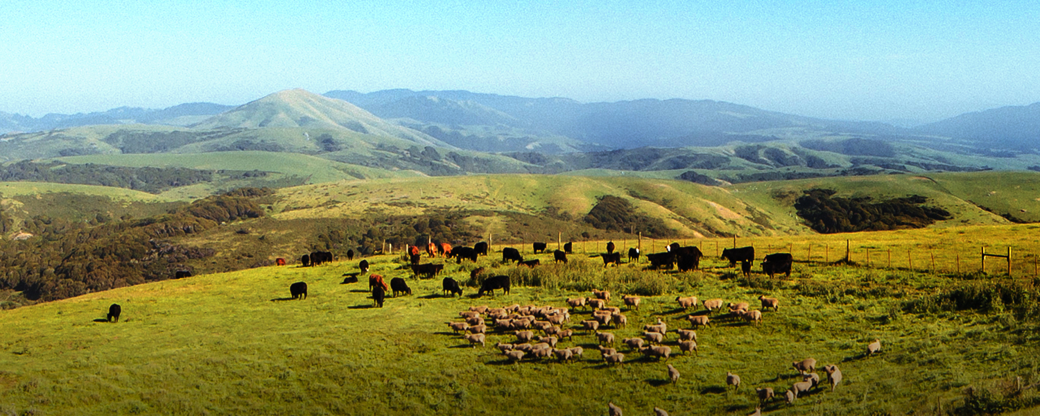 Milestone: 50,000 acres preserved