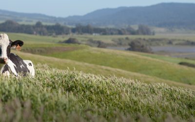 Giacomini Ranch, Point Reyes Station