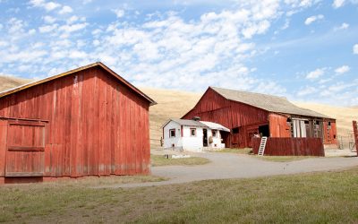 Jensen Ranch, Tomales