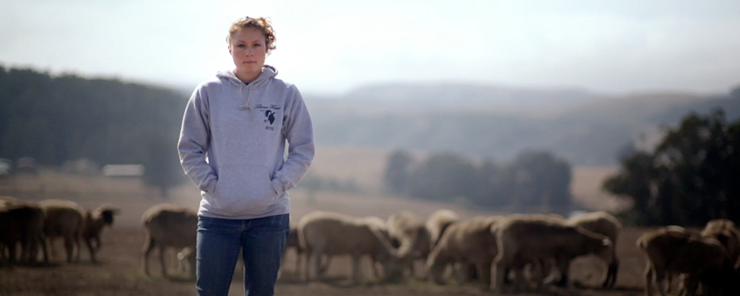 Profiles in Preservation