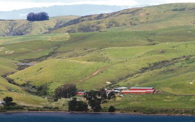 Straus Home & Dairy Ranches, Marshall