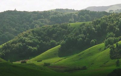 Stubbs Ranch, Hicks Valley