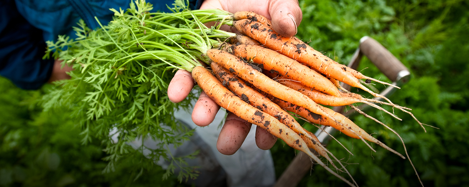 Why Marin Farms Matter