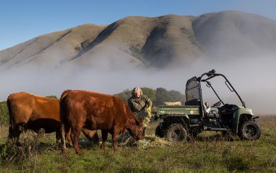 Measure A money helping to secure West Marin farmland